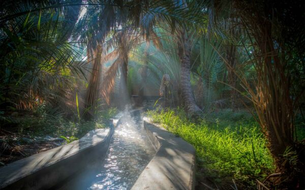 Al Ain Oasis Al Ain Tour